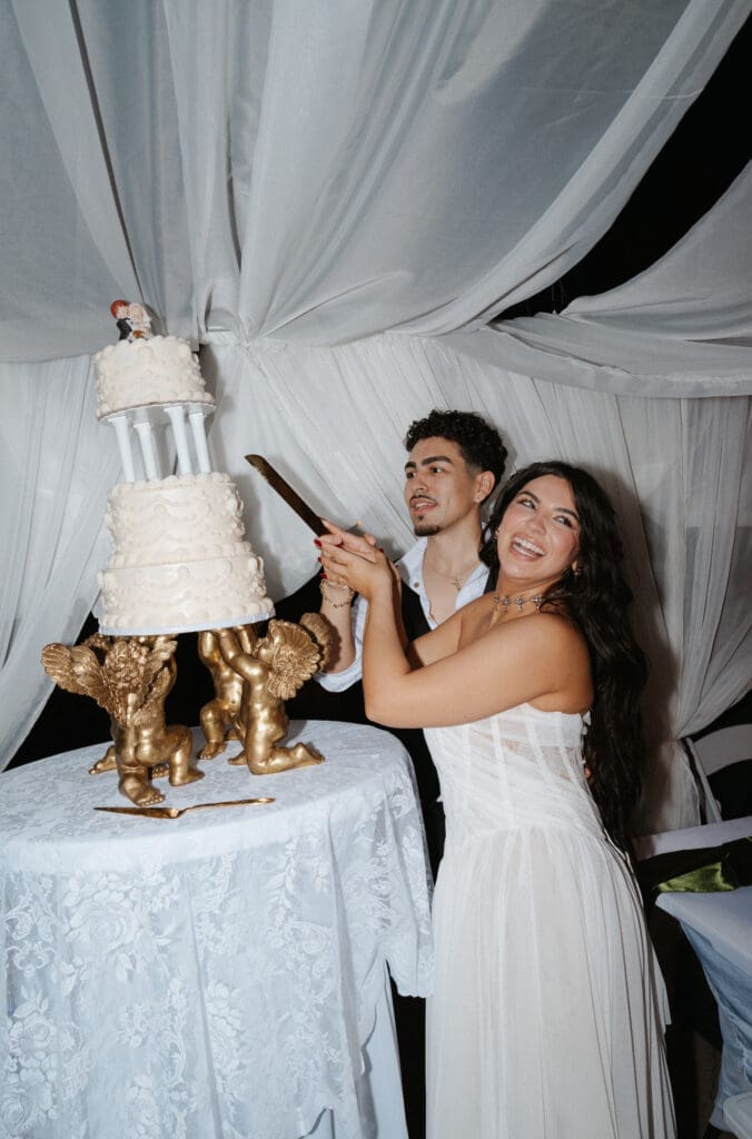 Bride and Groom cutting the wedding cake